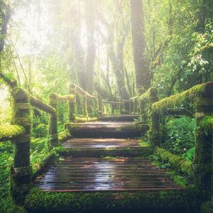 动漫口交操屁股
